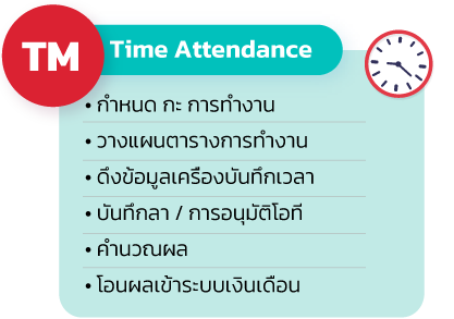 TM Time Attendance